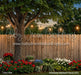 Americana Backyard Fence (CC)