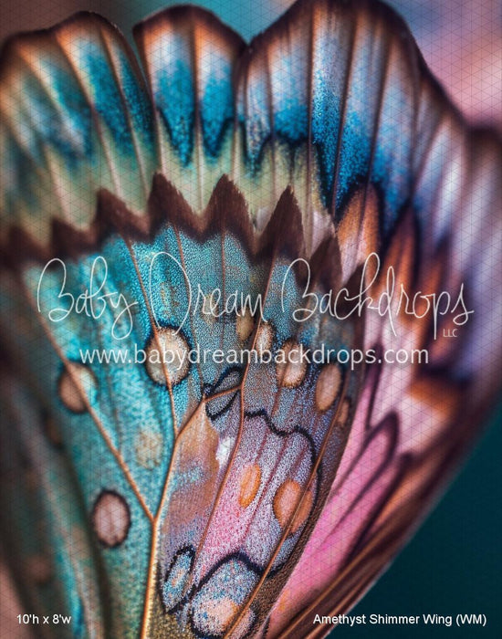 Amethyst Shimmer Wing (WM)