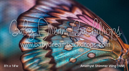 Amethyst Shimmer Wing (WM)