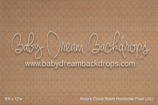 Andy's Cloud Room Horizontal Floor (JG)