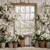 Apple Blossom Barn Window (JA)