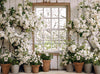 Apple Blossom Barn Window (JA)