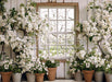 Apple Blossom Barn Window (JA)