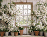 Apple Blossom Barn Window (JA)