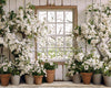 Apple Blossom Barn Window (JA)