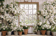 Apple Blossom Barn Window (JA)