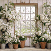 Apple Blossom Barn Window (JA)