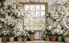 Apple Blossom Barn Window (JA)