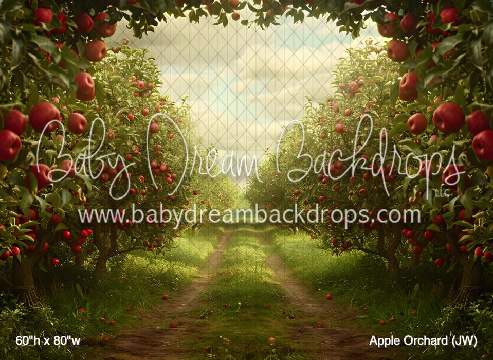 Apple Orchard (JW)