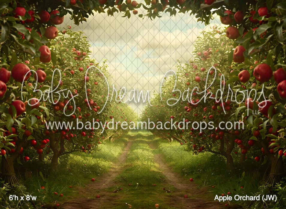 Apple Orchard (JW)