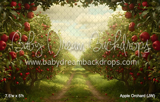 Apple Orchard (JW)