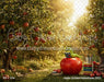 Apple Orchard Adventures (GO)