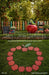 Apple Orchard Learning (GO)