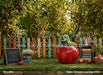 Apple Orchard Learning (GO)