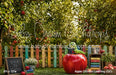 Apple Orchard Learning (GO)