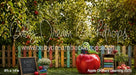 Apple Orchard Learning (GO)
