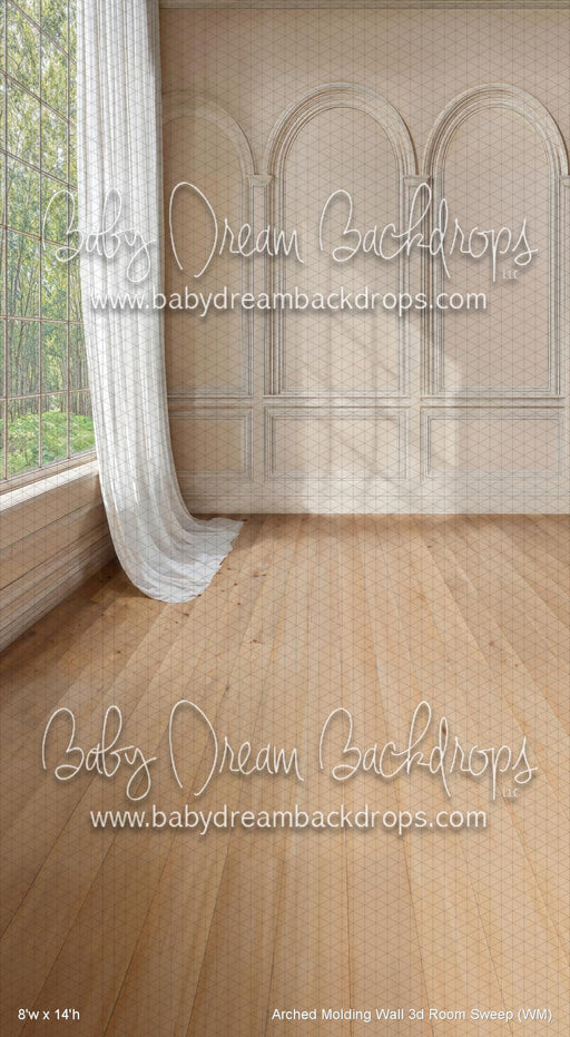Arched Molding Wall 3d Room Sweep (WM)