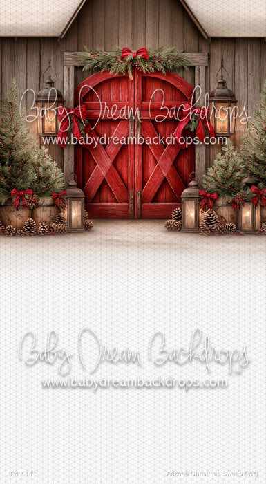 Arizona Christmas Sweep (VR)