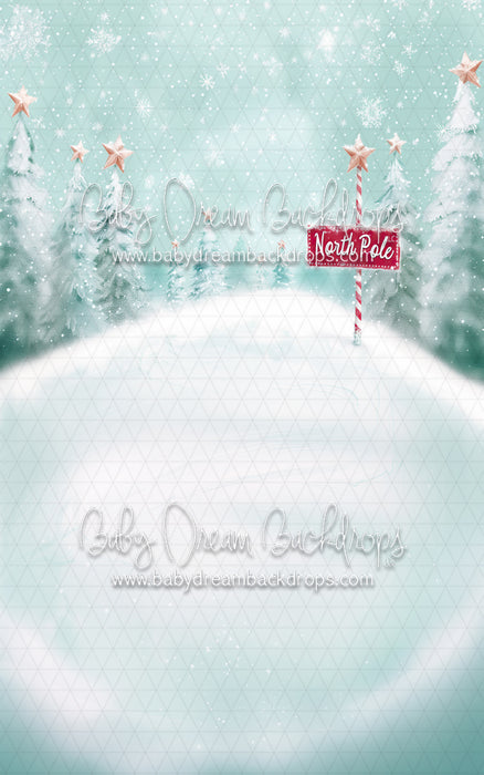 At The North Pole Sweep (MD)