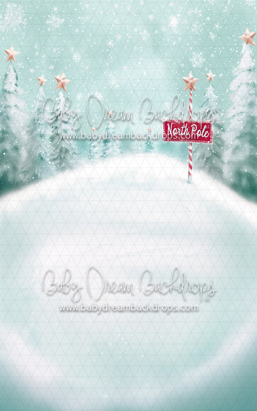 At The North Pole Sweep (MD)