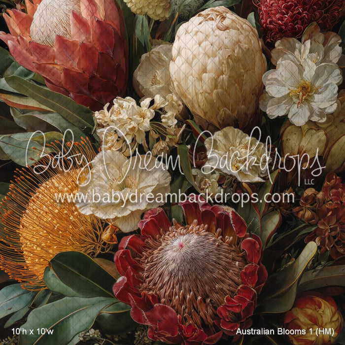 Australian Blooms 1 (HM)