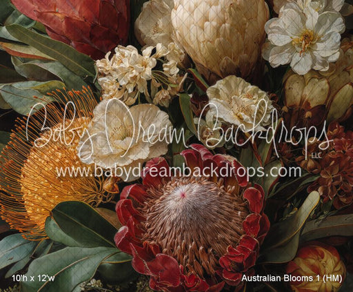 Australian Blooms 1 (HM)