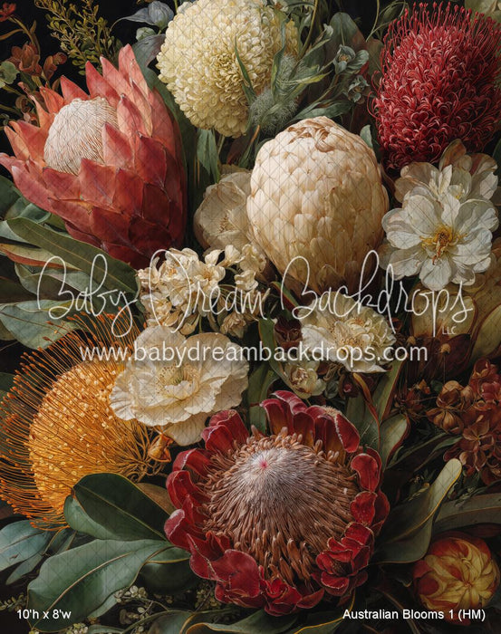 Australian Blooms 1 (HM)