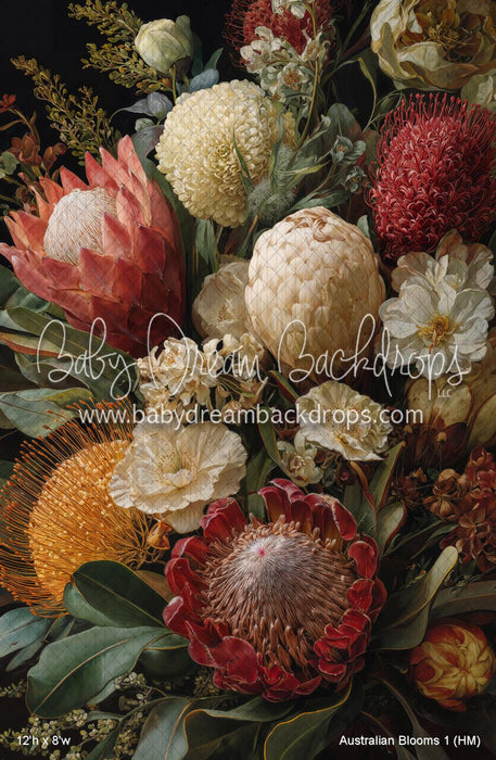 Australian Blooms 1 (HM)