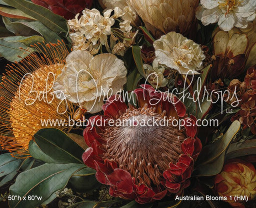 Australian Blooms 1 (HM)