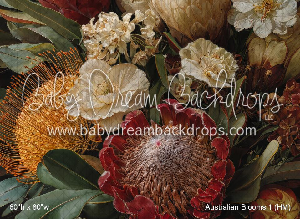 Australian Blooms 1 (HM)