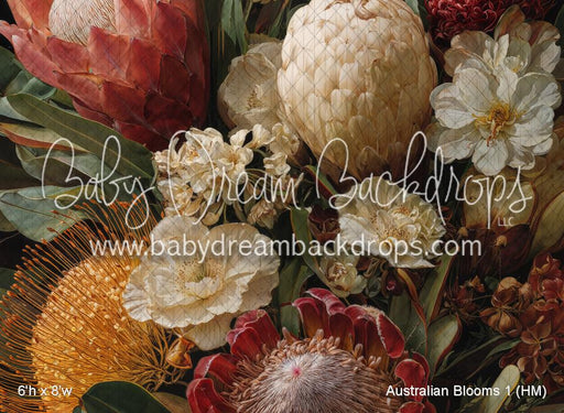 Australian Blooms 1 (HM)