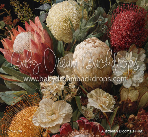 Australian Blooms 1 (HM)