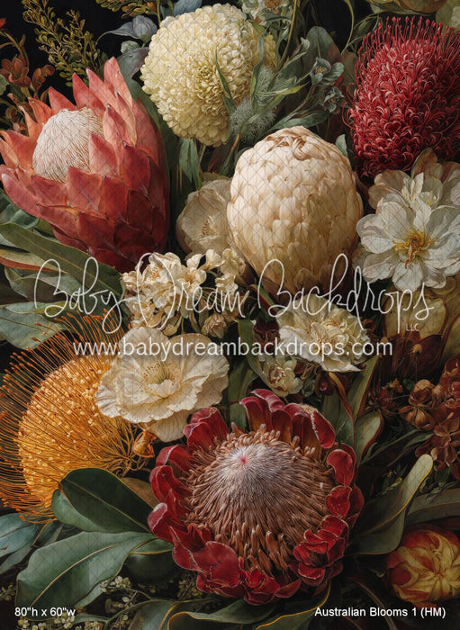 Australian Blooms 1 (HM)