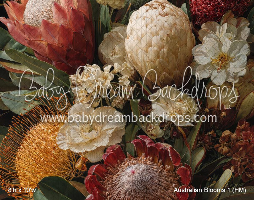 Australian Blooms 1 (HM)