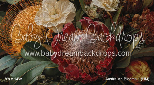 Australian Blooms 1 (HM)