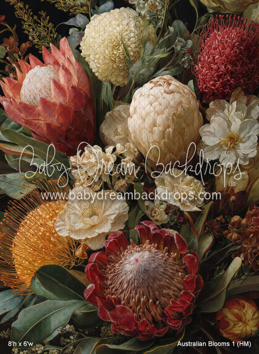 Australian Blooms 1 (HM)