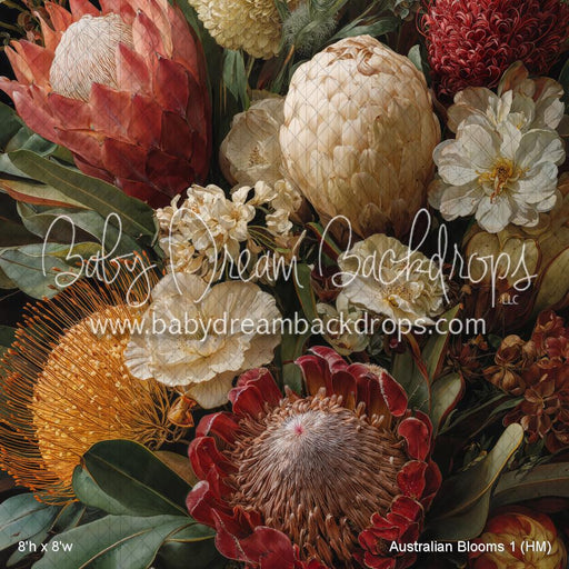 Australian Blooms 1 (HM)