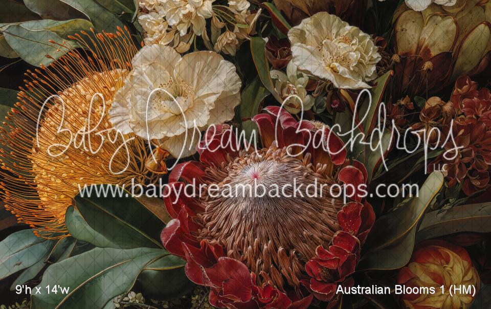 Australian Blooms 1 (HM)