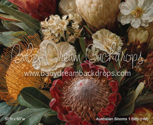 Australian Blooms 1 Bitty (HM)