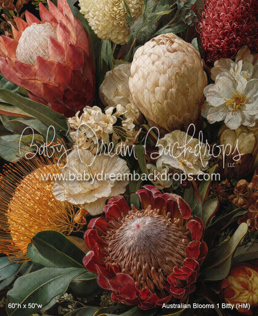 Australian Blooms 1 Bitty (HM)