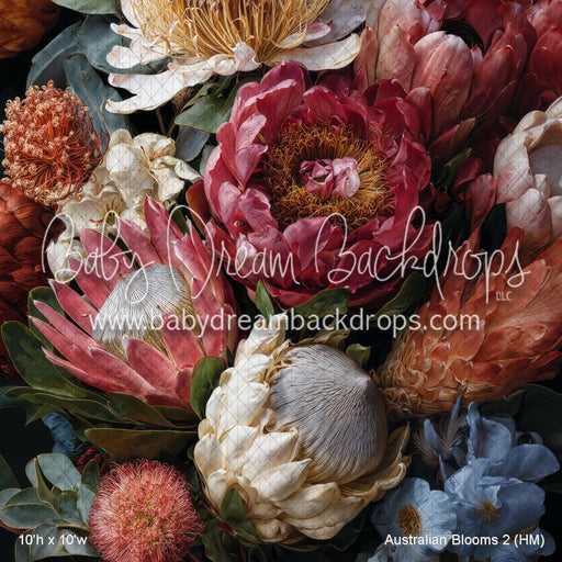 Australian Blooms 2 (HM)