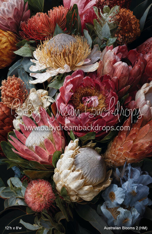 Australian Blooms 2 (HM)