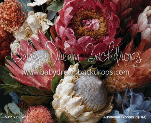 Australian Blooms 2 (HM)