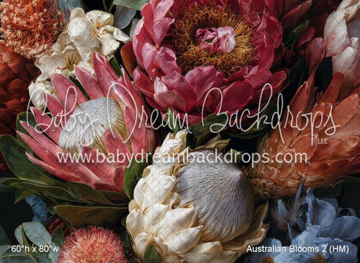 Australian Blooms 2 (HM)