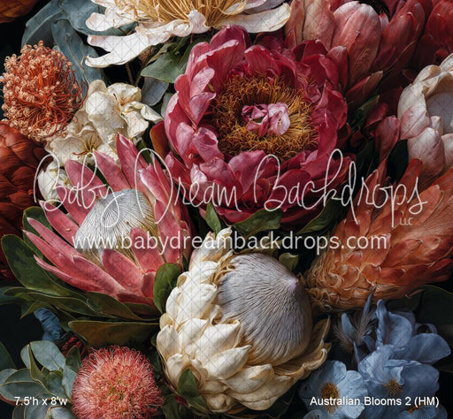 Australian Blooms 2 (HM)