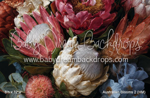 Australian Blooms 2 (HM)