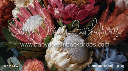 Australian Blooms 2 (HM)