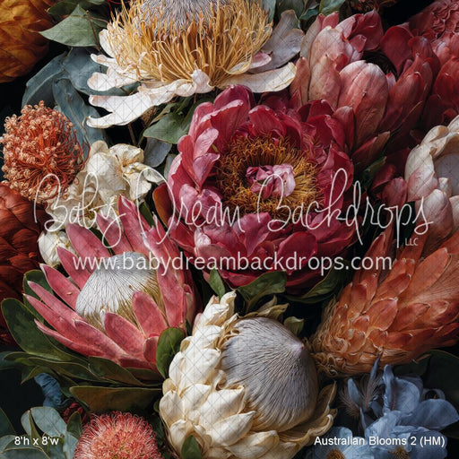 Australian Blooms 2 (HM)