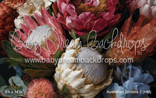 Australian Blooms 2 (HM)