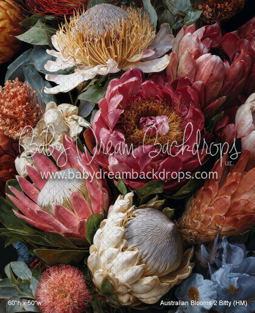 Australian Blooms 2 Bitty (HM)